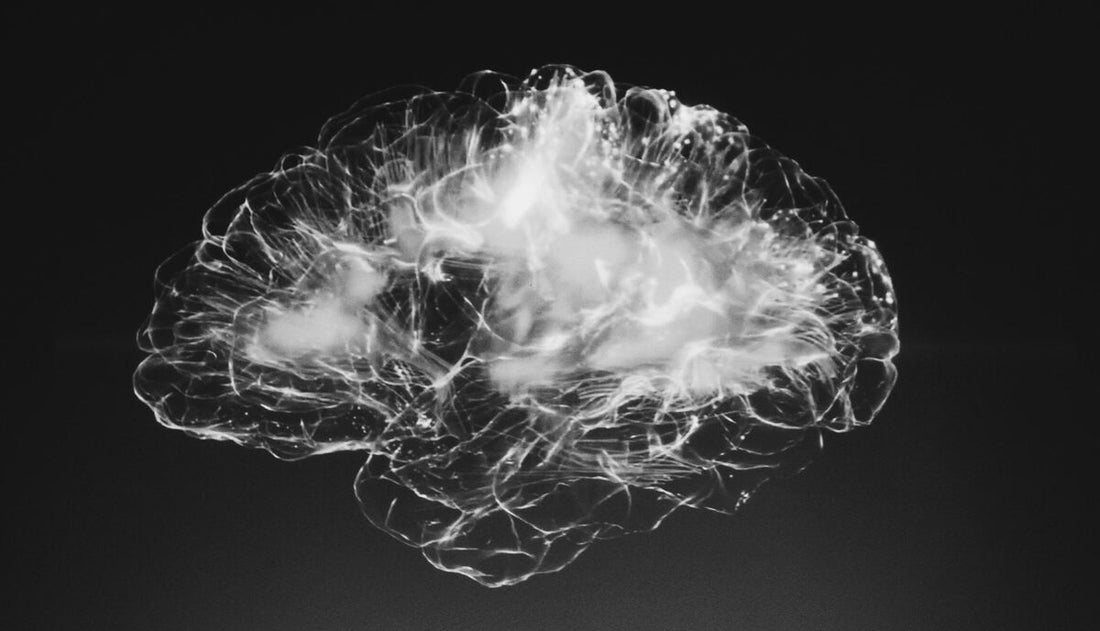 What happens in your brain when you have a migraine